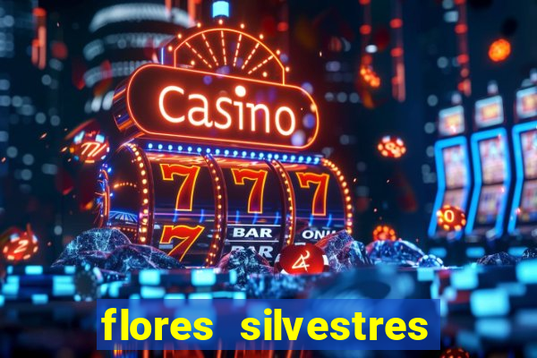 flores silvestres desbravadores desbravadores 25